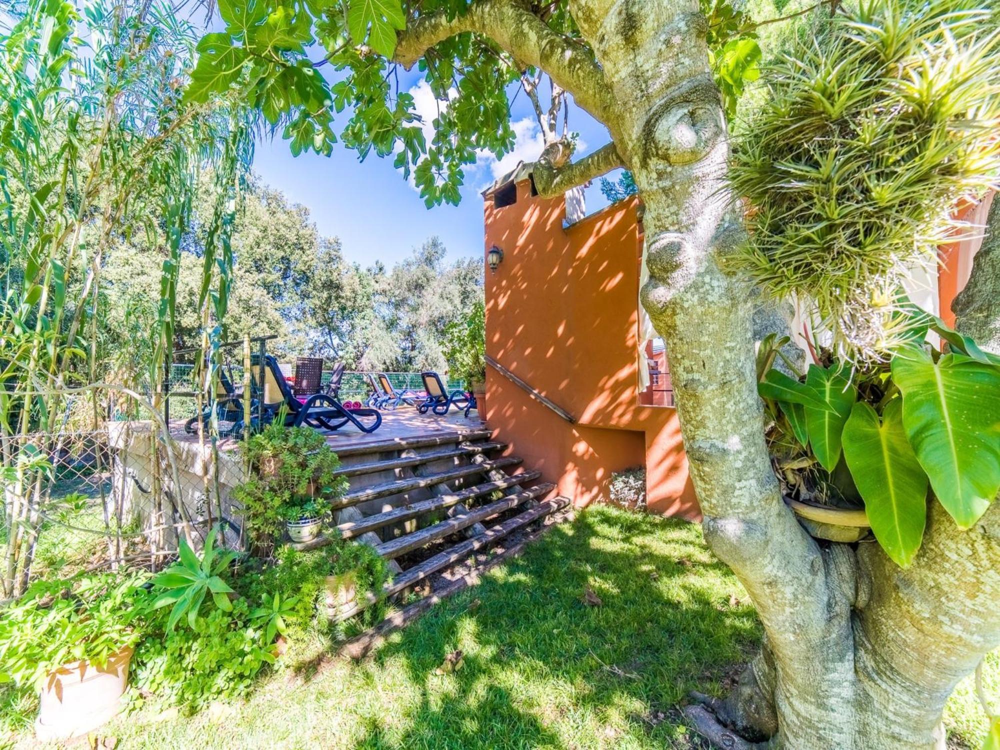 Finca In Mallorca With Private Pool ブゲル エクステリア 写真